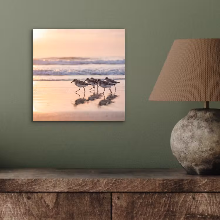 Aluminium schilderij - Zee - Vogels - Strand — 3