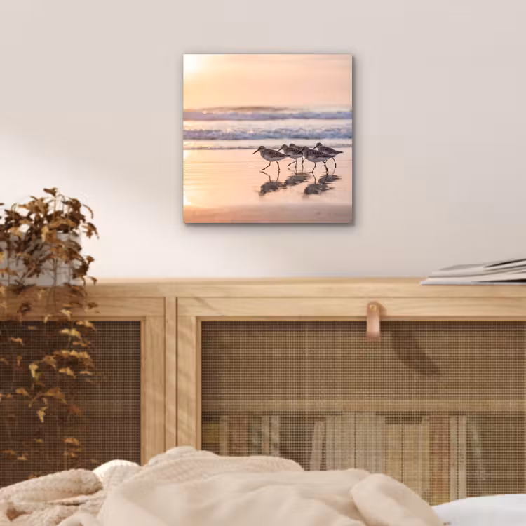 Aluminium schilderij - Zee - Vogels - Strand — 4