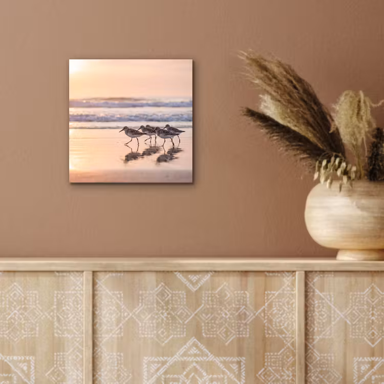 Aluminium schilderij - Zee - Vogels - Strand — 5