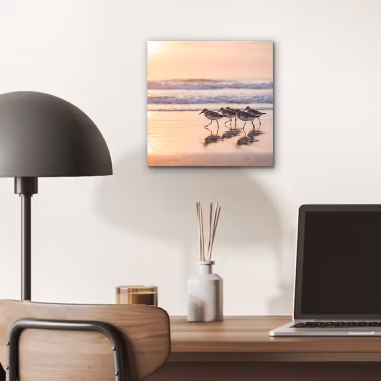 Aluminium schilderij - Zee - Vogels - Strand — 6