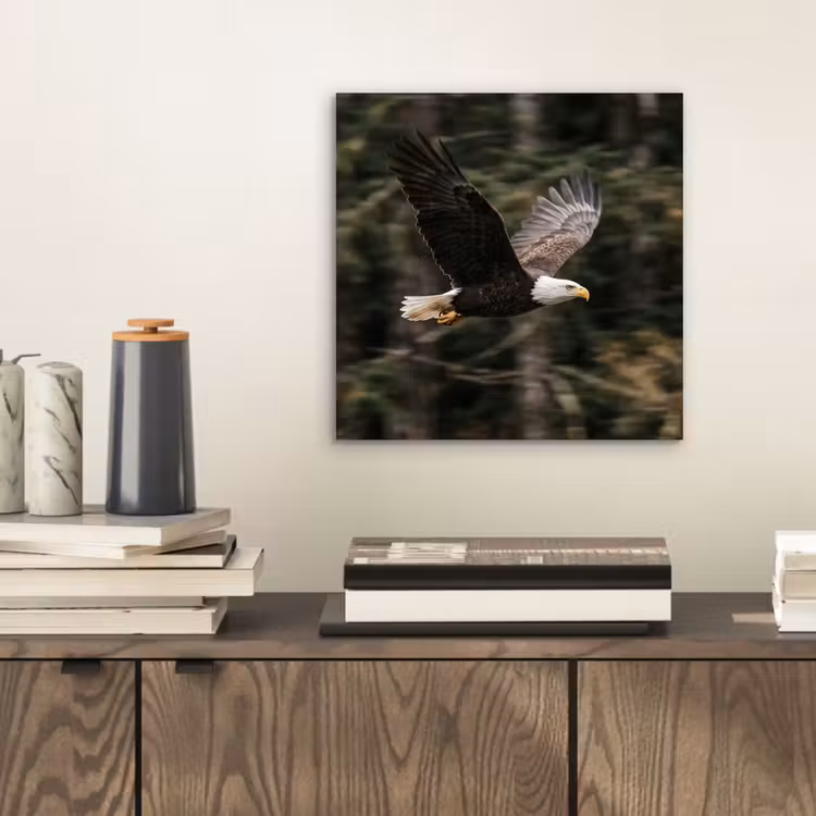 Aluminium schilderij - Zeearend - Vliegen - Bos - Natuur — 2