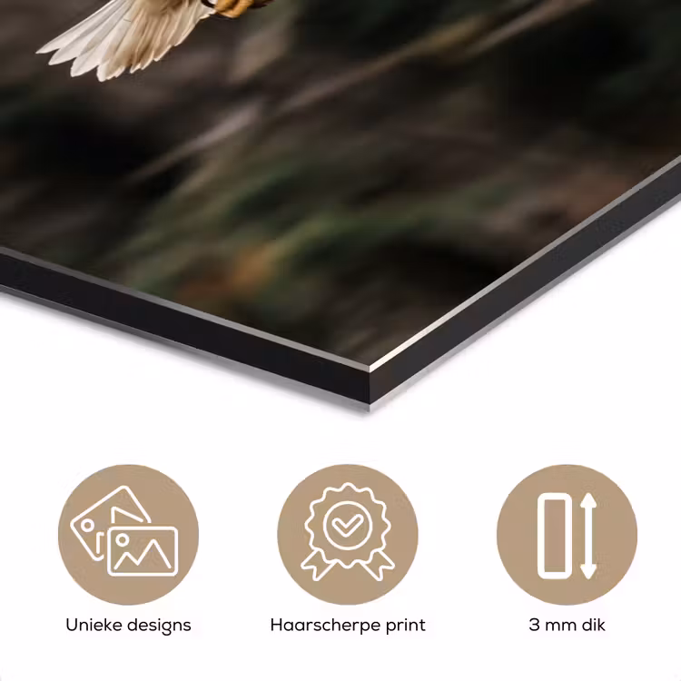 Aluminium schilderij - Zeearend - Vliegen - Bos - Natuur — 7