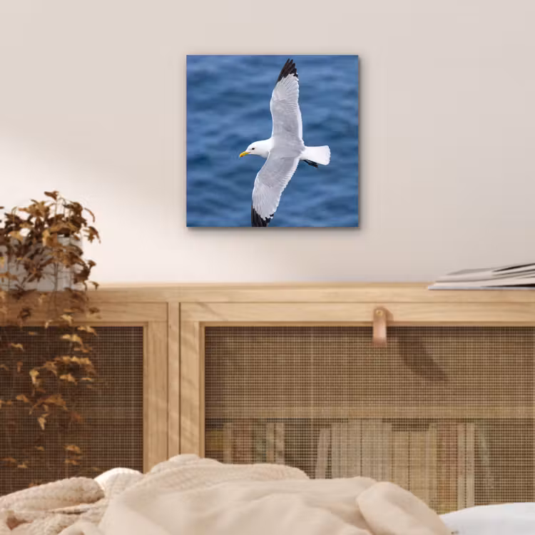 Aluminium schilderij - Zeemeeuw - Oceaan - Blauw — 4