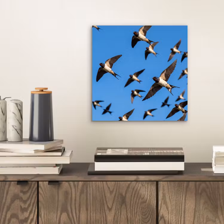 Aluminium schilderij - Zwaluwen - Vliegen - Blauw — 2