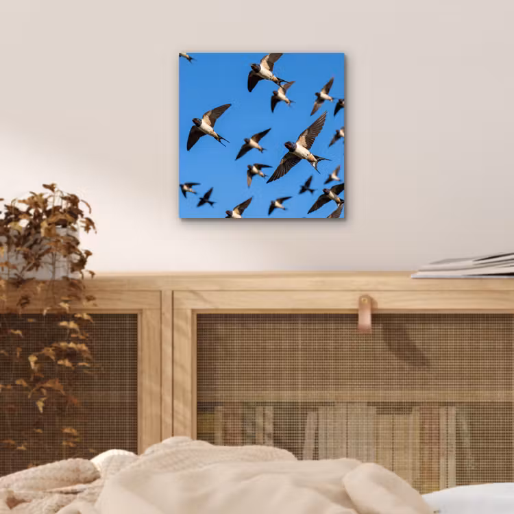 Aluminium schilderij - Zwaluwen - Vliegen - Blauw — 4