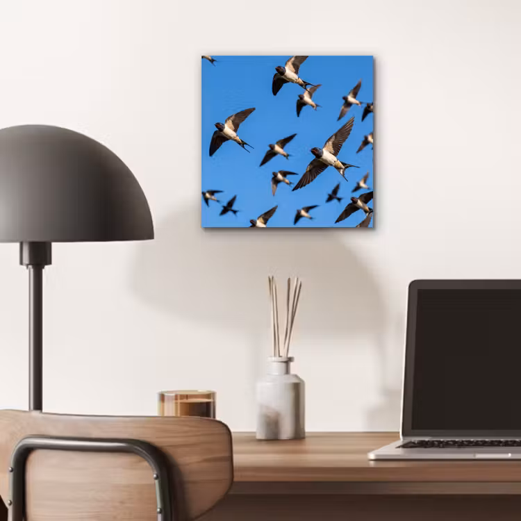 Aluminium schilderij - Zwaluwen - Vliegen - Blauw — 6