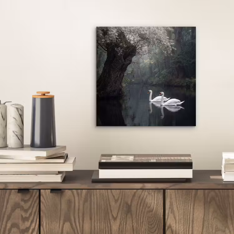 Aluminium schilderij - Zwanen - Rivier - Bos — 2