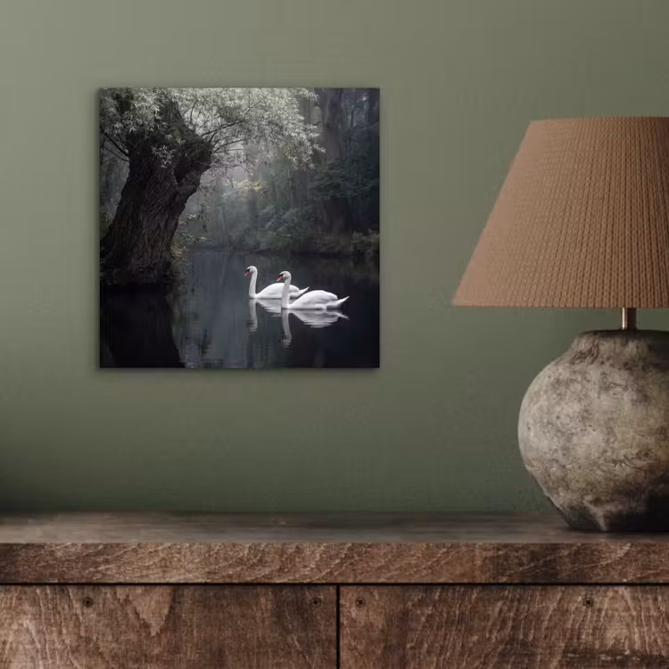 Aluminium schilderij - Zwanen - Rivier - Bos — 3