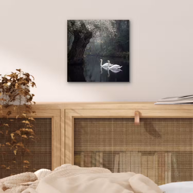 Aluminium schilderij - Zwanen - Rivier - Bos — 4