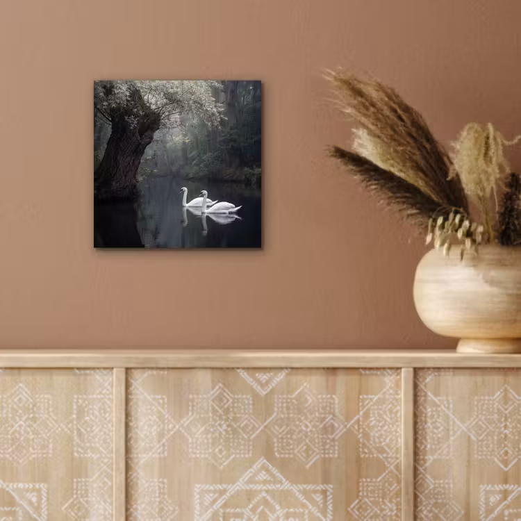 Aluminium schilderij - Zwanen - Rivier - Bos — 5