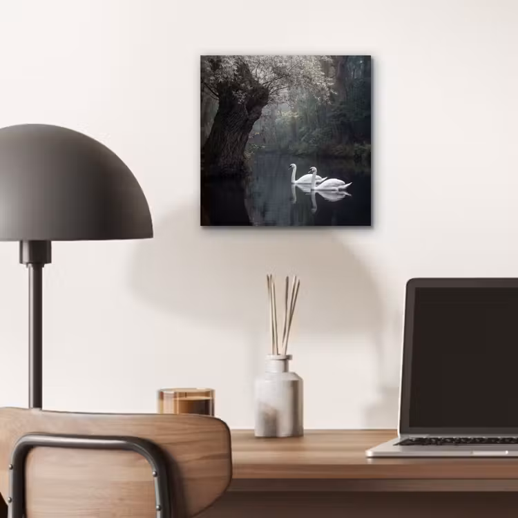 Aluminium schilderij - Zwanen - Rivier - Bos — 6