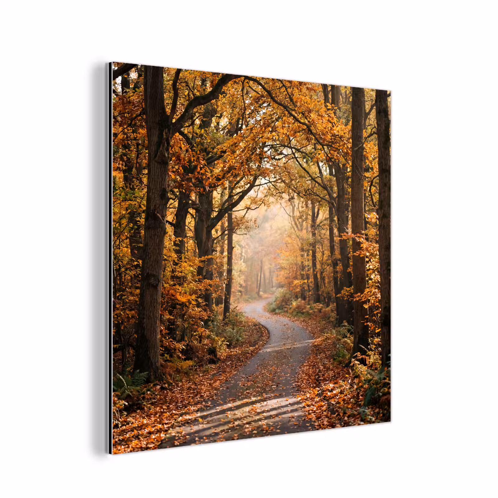 Aluminium schilderij - Bospad - Herfstbos - Bladeren - Oranje - Nostalgisch — 1