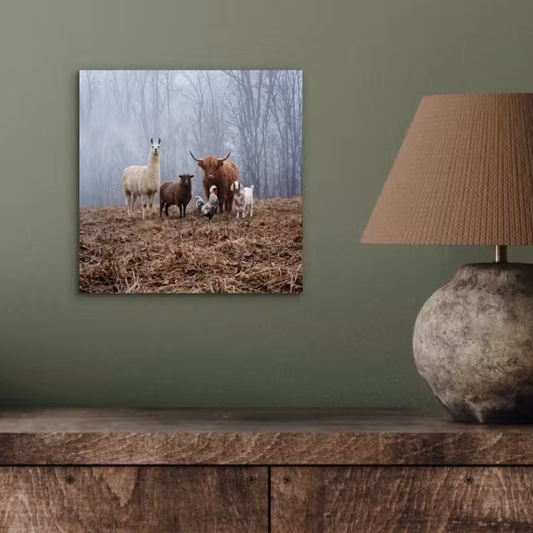 Aluminium schilderij - Boerderijdieren - Groep - Mist - Natuur - Rustiek — 3