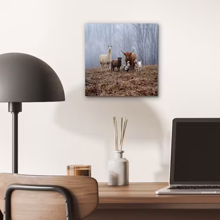 Aluminium schilderij - Boerderijdieren - Groep - Mist - Natuur - Rustiek — 6