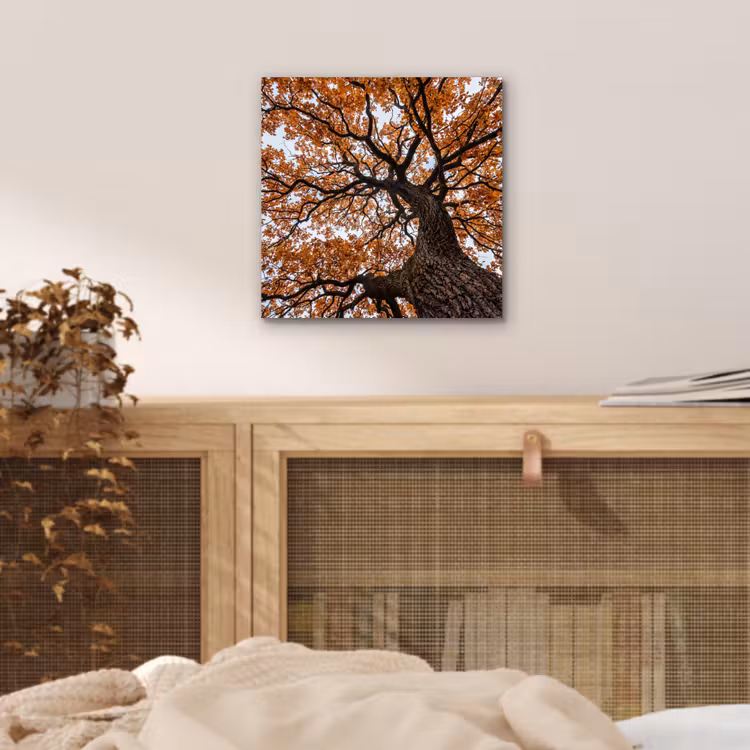 Aluminium schilderij - Boom - Bladerdak - Herfst - Oranje - Sfeervol — 4