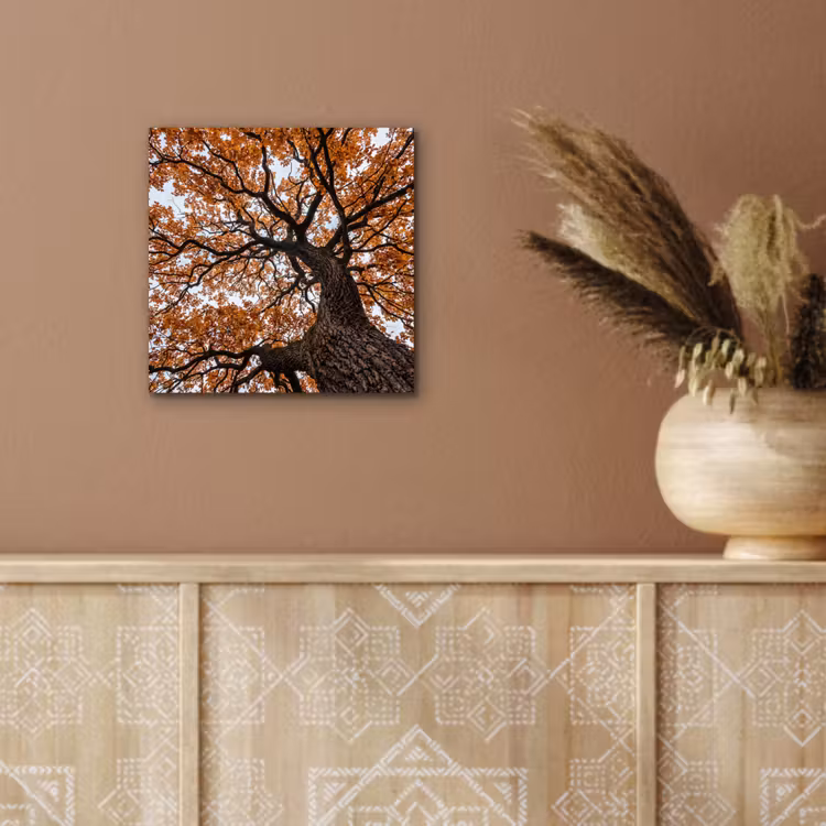 Aluminium schilderij - Boom - Bladerdak - Herfst - Oranje - Sfeervol — 5