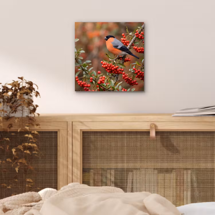 Aluminium schilderij - Goudvink - Bessen - Herfst - Natuur - Kleurrijk — 4