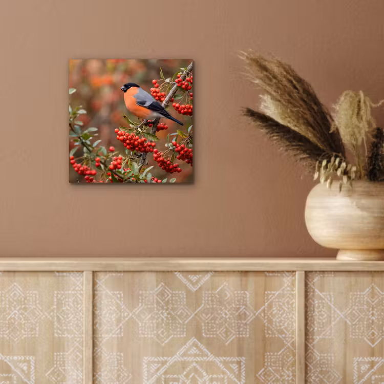 Aluminium schilderij - Goudvink - Bessen - Herfst - Natuur - Kleurrijk — 5