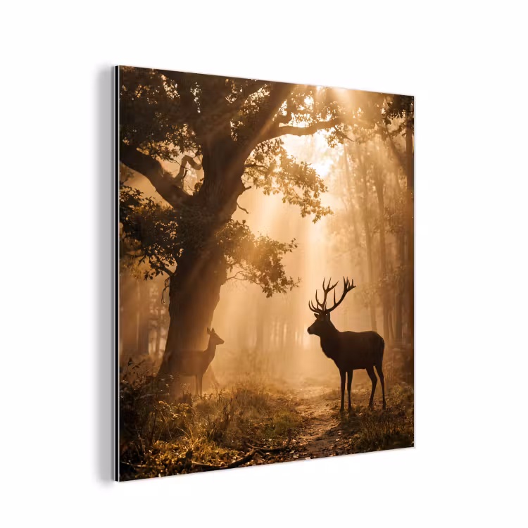 Aluminium schilderij - Hert - Bos - Mistig - Natuur - Goud — 1