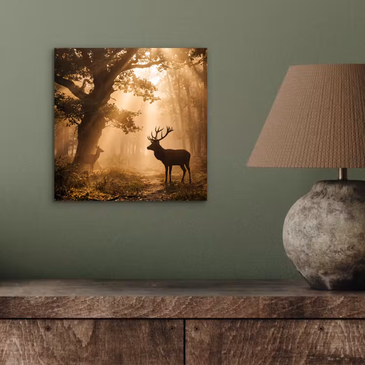 Aluminium schilderij - Hert - Bos - Mistig - Natuur - Goud — 3