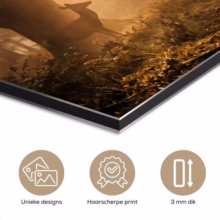 Aluminium schilderij - Hert - Bos - Mistig - Natuur - Goud — 7