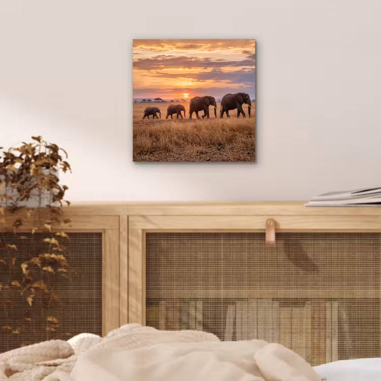 Aluminium schilderij - Olifanten - Savanne - Zonsondergang - Afrika - Warm — 4