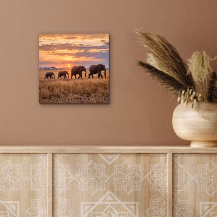 Aluminium schilderij - Olifanten - Savanne - Zonsondergang - Afrika - Warm — 5