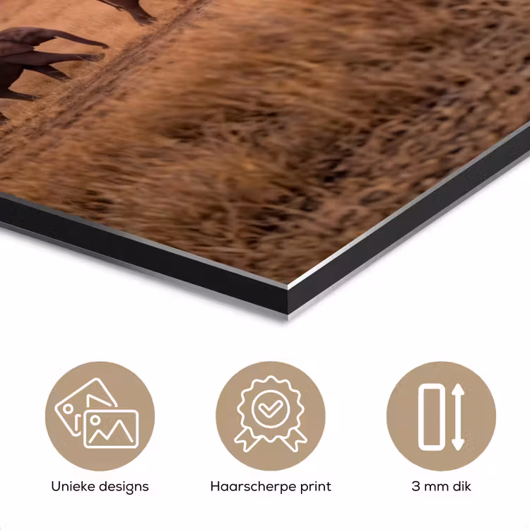 Aluminium schilderij - Olifanten - Savanne - Zonsondergang - Afrika - Warm — 7