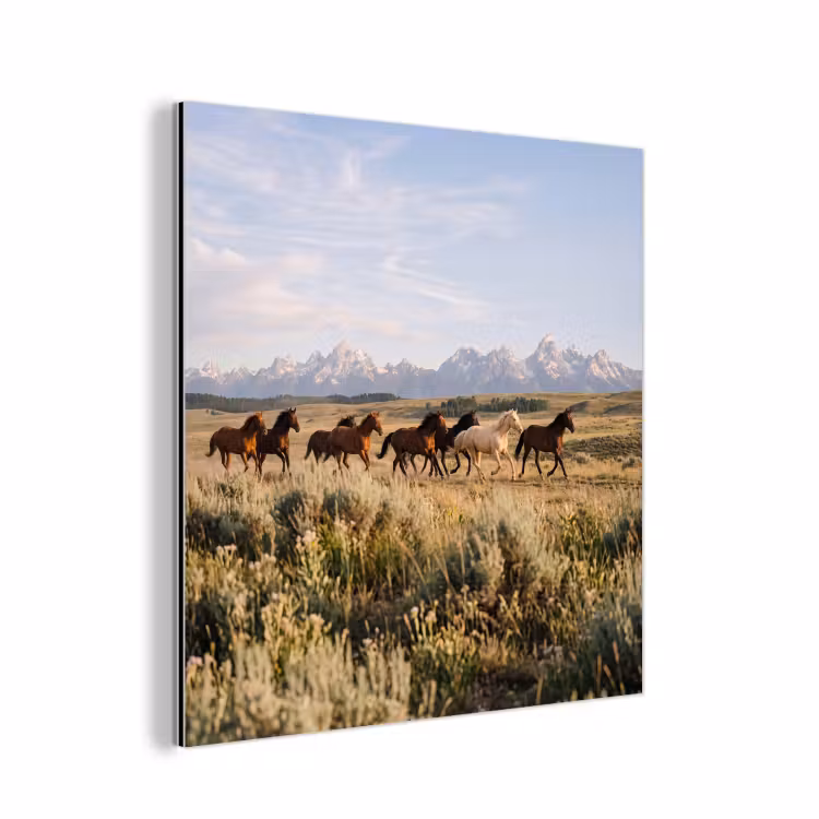 Aluminium schilderij - Paarden - Kudde - Bergen - Vrijheid - Wild — 1