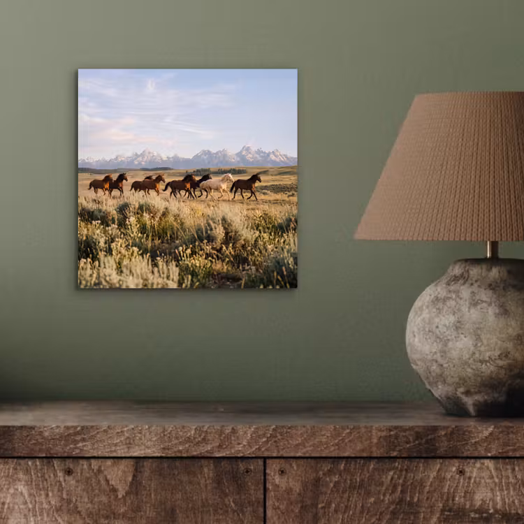 Aluminium schilderij - Paarden - Kudde - Bergen - Vrijheid - Wild — 3