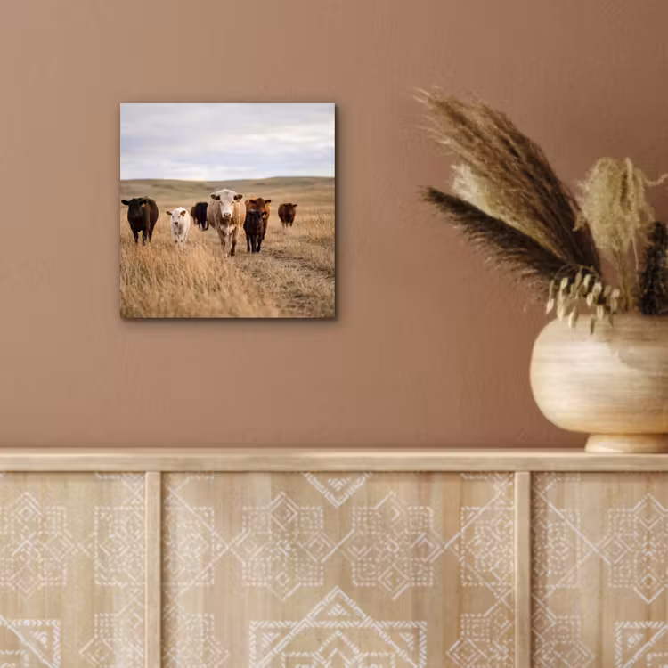 Aluminium schilderij - Runderen - Kudde - Landschap - Weide - Rustig — 5