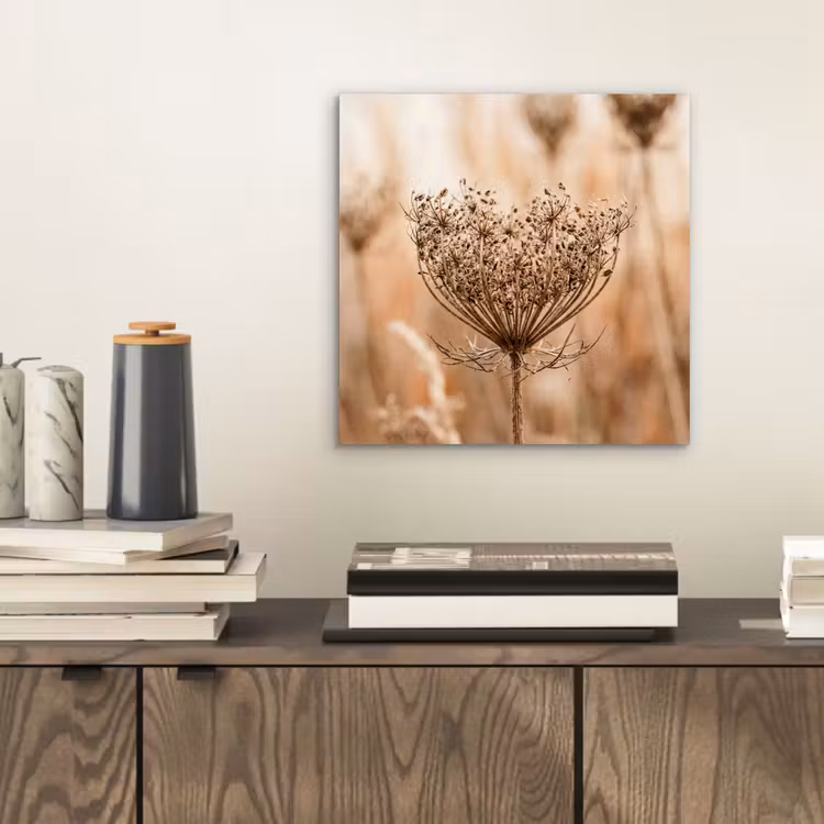 Aluminium schilderij - Schermbloem - Droogbloem - Winter - Beige - Minimalistisch — 2