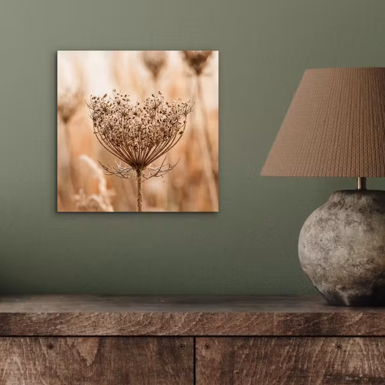 Aluminium schilderij - Schermbloem - Droogbloem - Winter - Beige - Minimalistisch — 3