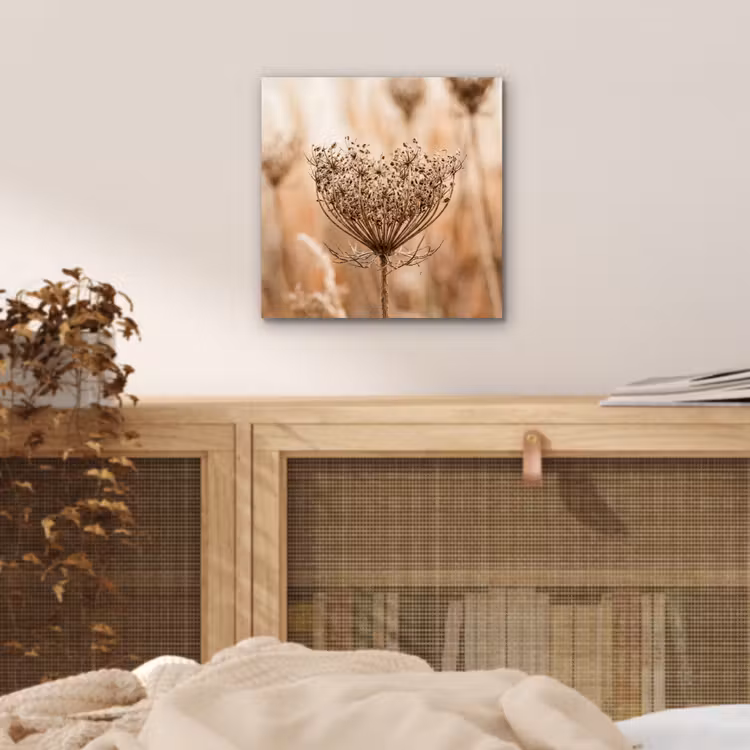 Aluminium schilderij - Schermbloem - Droogbloem - Winter - Beige - Minimalistisch — 4