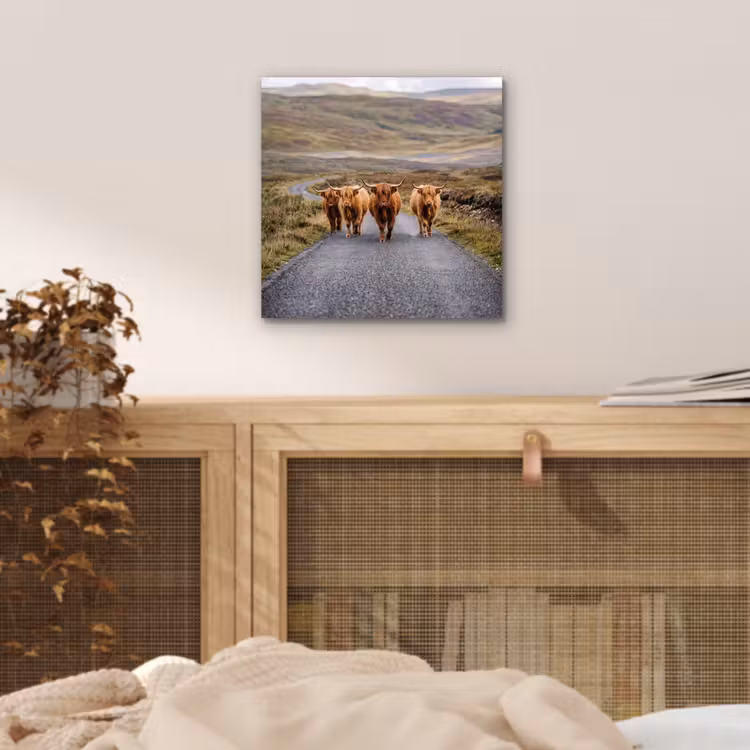 Aluminium schilderij - Schotse Hooglanders - Weg - Landschap - Kudde — 4