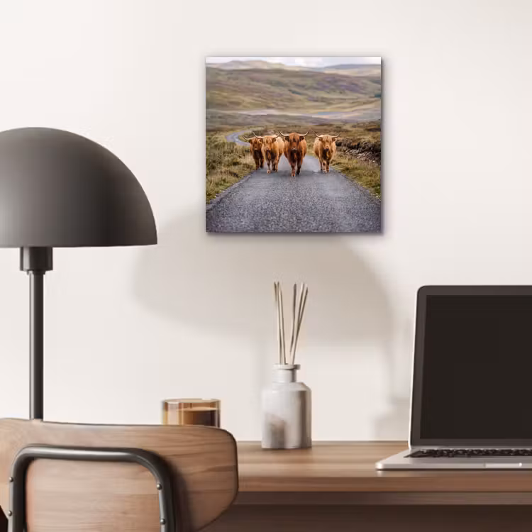 Aluminium schilderij - Schotse Hooglanders - Weg - Landschap - Kudde — 6