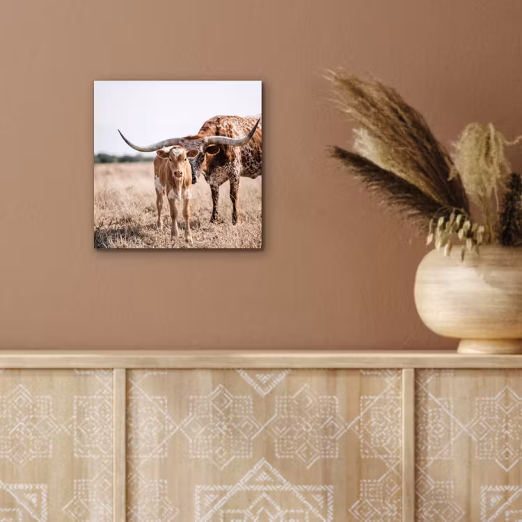 Aluminium schilderij - Texas Longhorn - Kalf - Weide - Dieren — 5