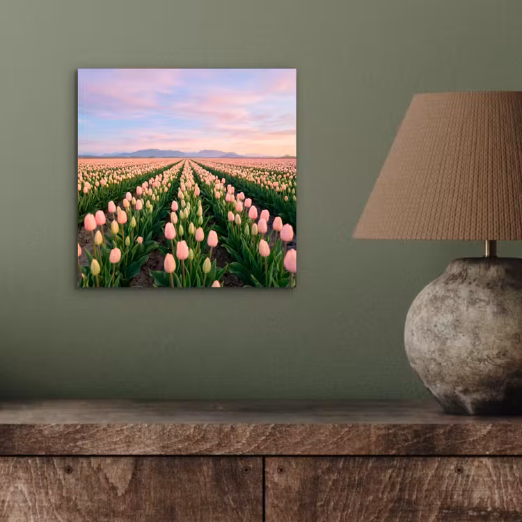 Aluminium schilderij - Tulpen - Landschap - Roze — 3
