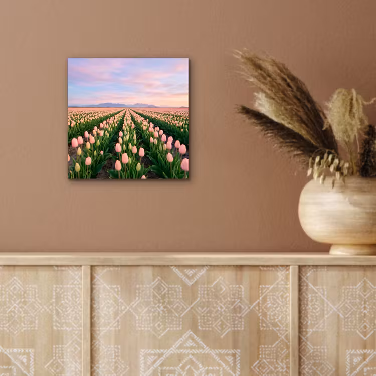 Aluminium schilderij - Tulpen - Landschap - Roze — 5