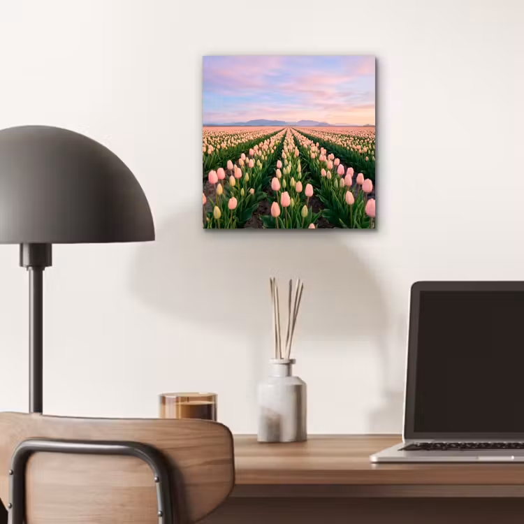 Aluminium schilderij - Tulpen - Landschap - Roze — 6