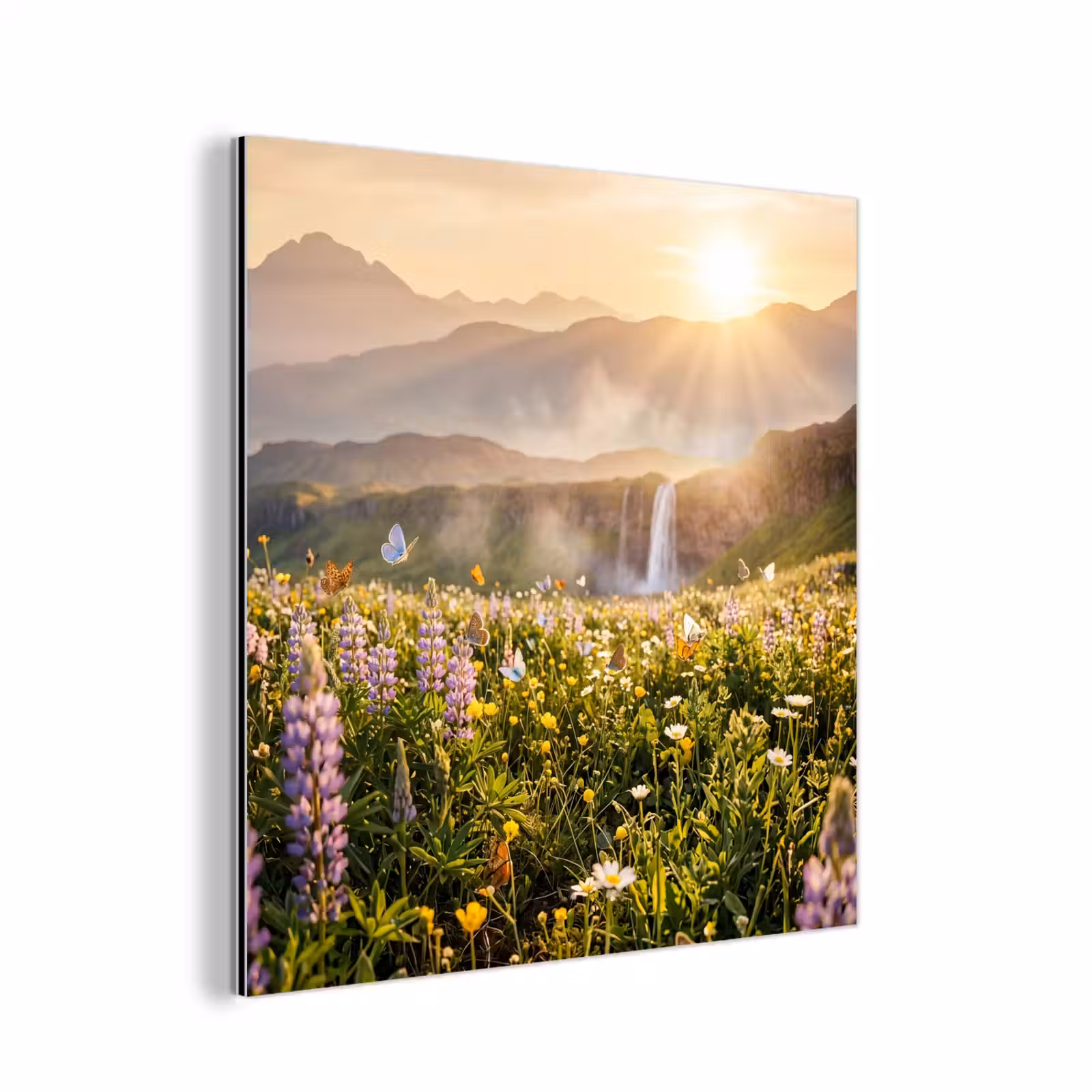 Aluminium schilderij - Vlinders - Waterval - Bloemenveld — 1
