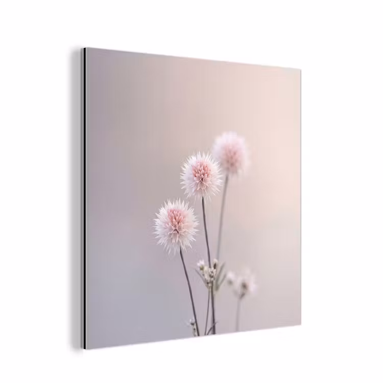 Aluminium schilderij - Bloemen - Bollen - Roze — 1
