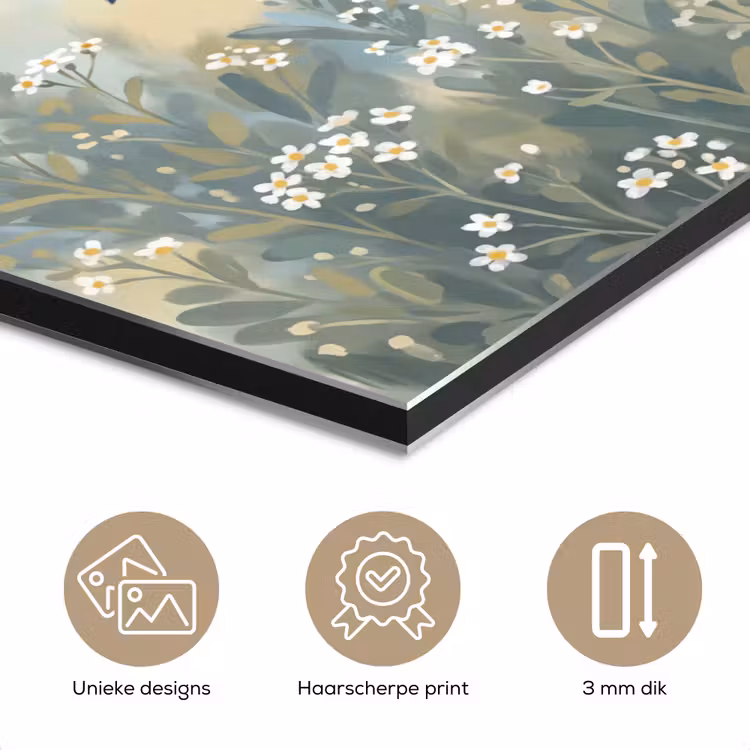 Aluminium schilderij - Kolibrie - Illustratie - Kleurrijk — 7