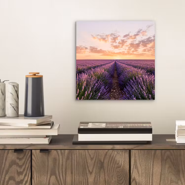 Aluminium schilderij - Landschap - Lavendelveld - Paars — 2