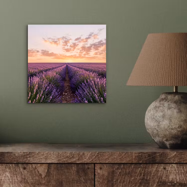 Aluminium schilderij - Landschap - Lavendelveld - Paars — 3