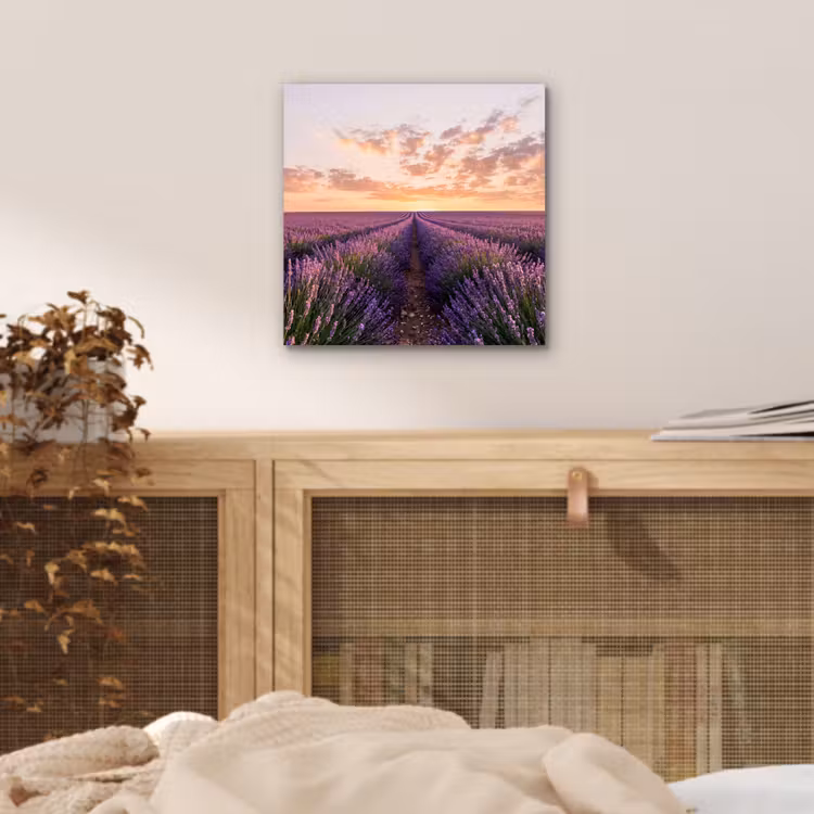 Aluminium schilderij - Landschap - Lavendelveld - Paars — 4
