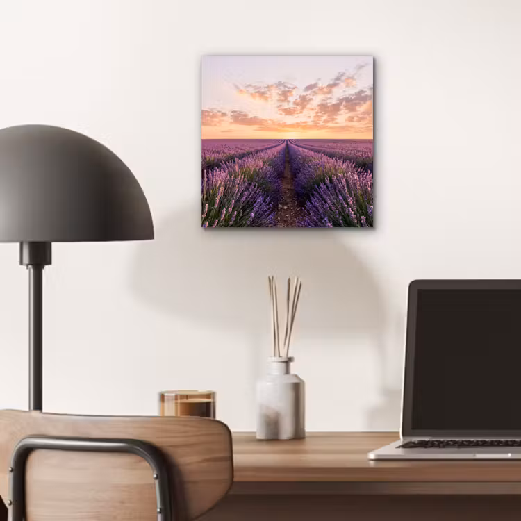 Aluminium schilderij - Landschap - Lavendelveld - Paars — 6