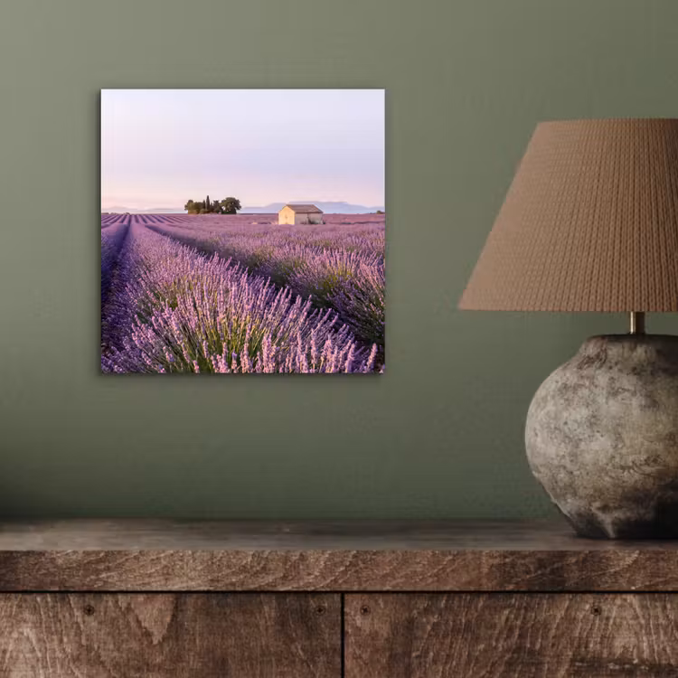 Aluminium schilderij - Lavendel - Landschap - Sereen - Paars — 3