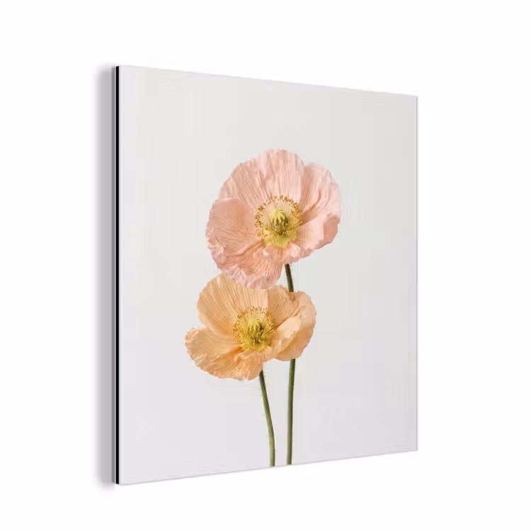 Aluminium schilderij - Papavers - Botanisch - Roze — 1