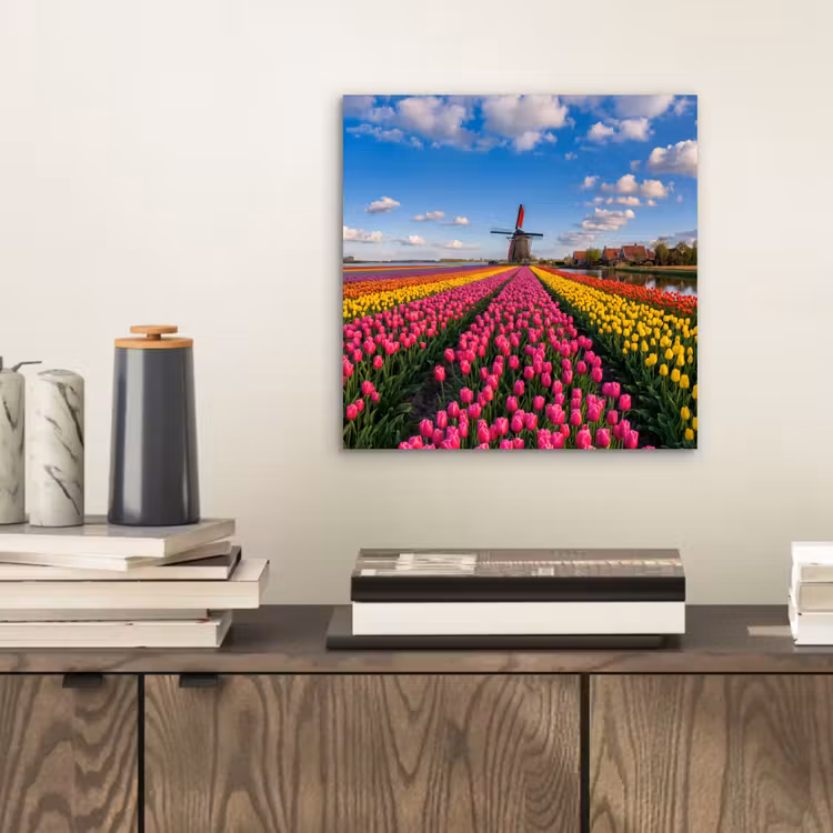 Aluminium schilderij - Tulpen - Holland - Molen - Kleurrijk — 2